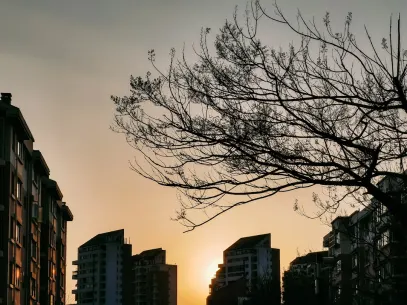 MegaReel Kazino Mobilā lietotne